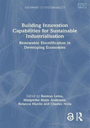 Building Innovation Capabilities for Sustainable Industrialisation 1st ...