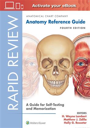 Anatomical Chart Company Lippincott Williams Wilkins