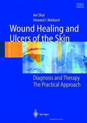 Wound Healing and Ulcers of the Skin Diagnosis and Therapy - The ...